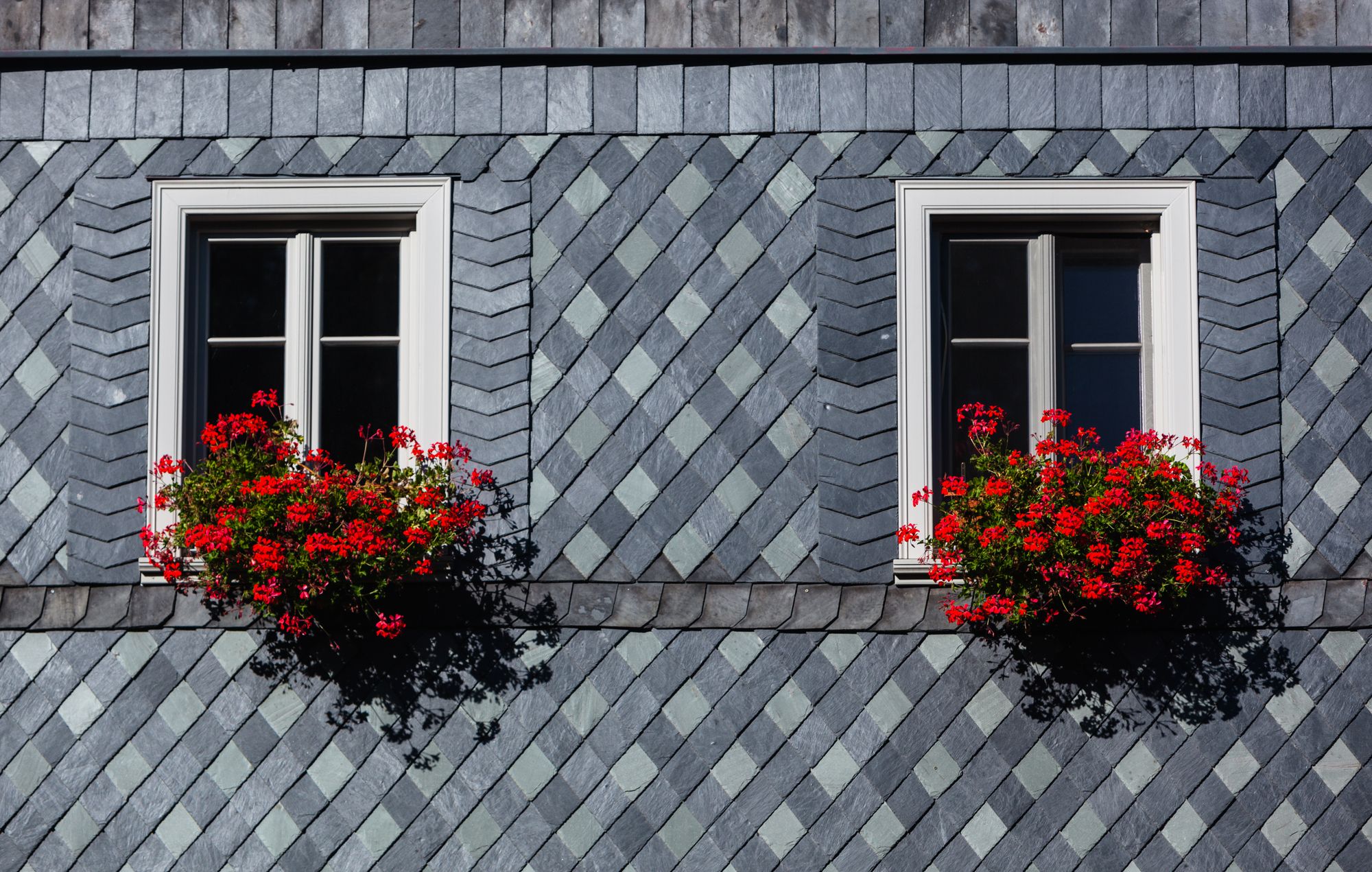 Schieferfront mit zwei Fenstern mit roten Blumen