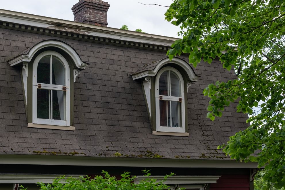 ein altes, graues Altbaudach mit Bäumen